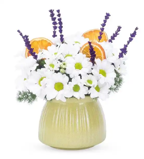 Endless Love Serisi Beyaz Papatya Çiçek Aranjmanı