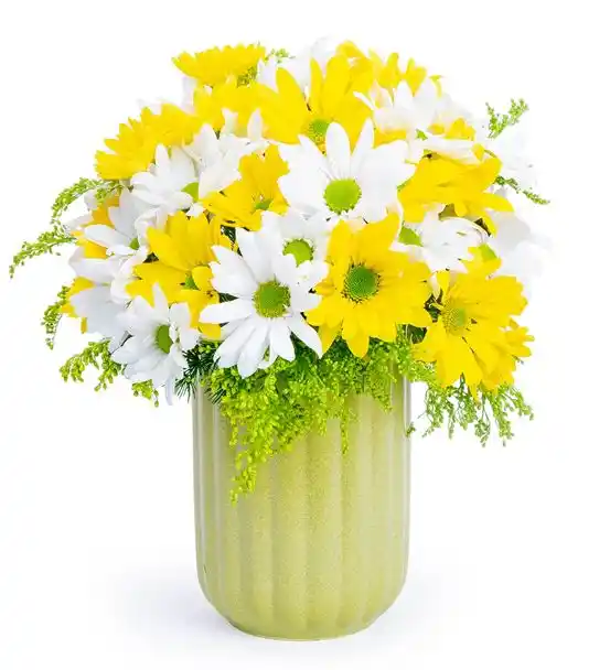 Kır Bahçesi Sarı ve Beyaz Papatya Aranjmanı