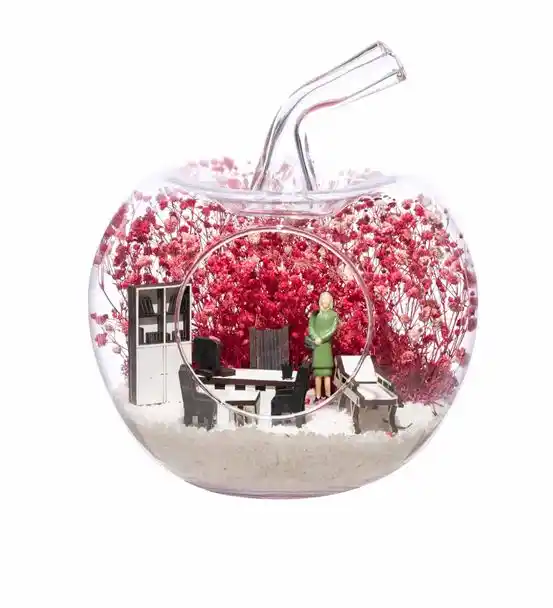 Teraryum Doktor Ofisi Kadın Figürlü