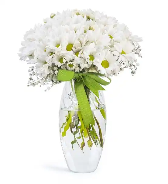 Papatya Bahçesi Tasarım Aranjmanı