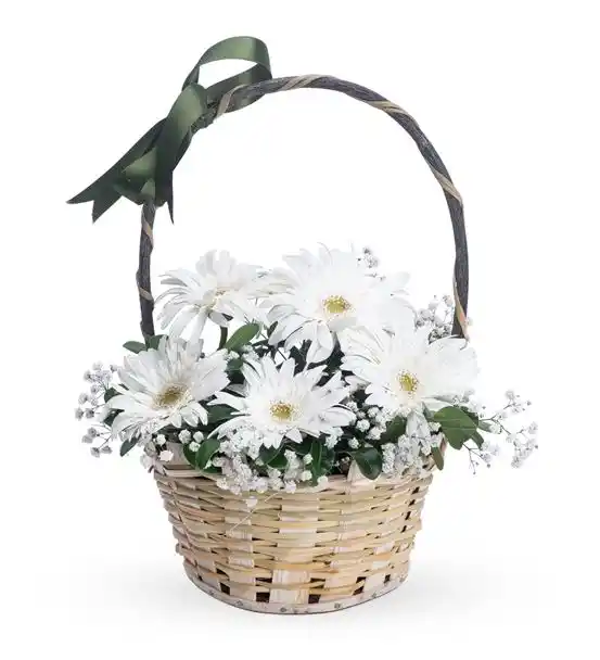 Huzur Esintisi 5 Beyaz Gerbera Çiçek Sepeti