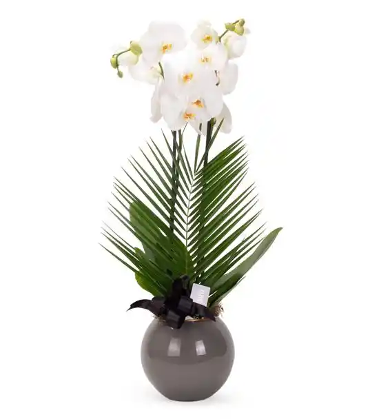 Snowflakes Dance White Premium Orkide Tasarım