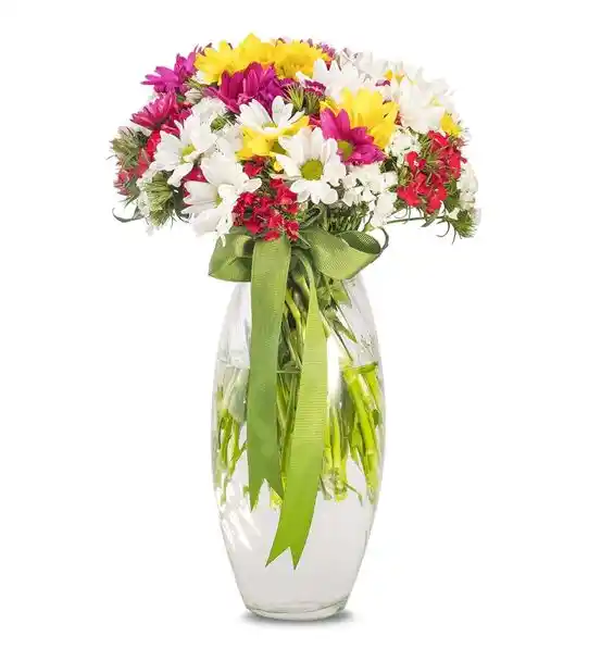 Baharın Habercisi Mevsim Çiçekleri