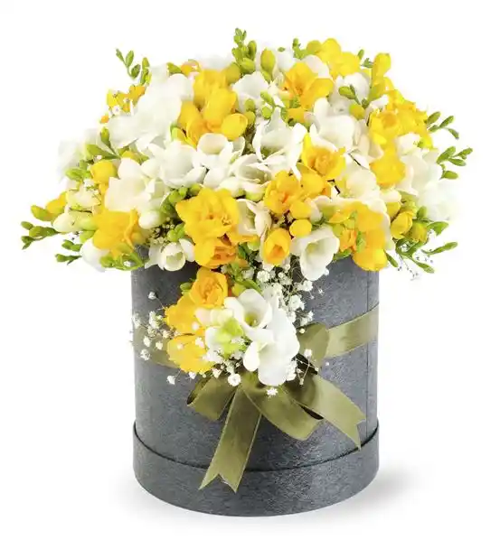 Dekoratif Kutuda Mis Kokulu Frezyalar Aranjmanı