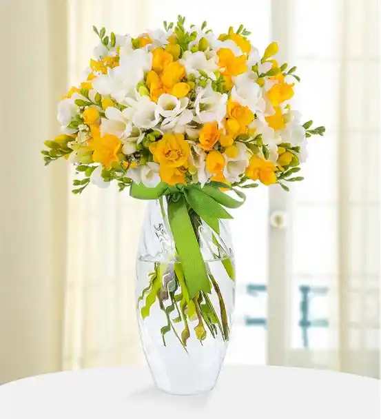 Renkli Rüya Mis Kokulu Frezya Bahçesi Aranjmanı