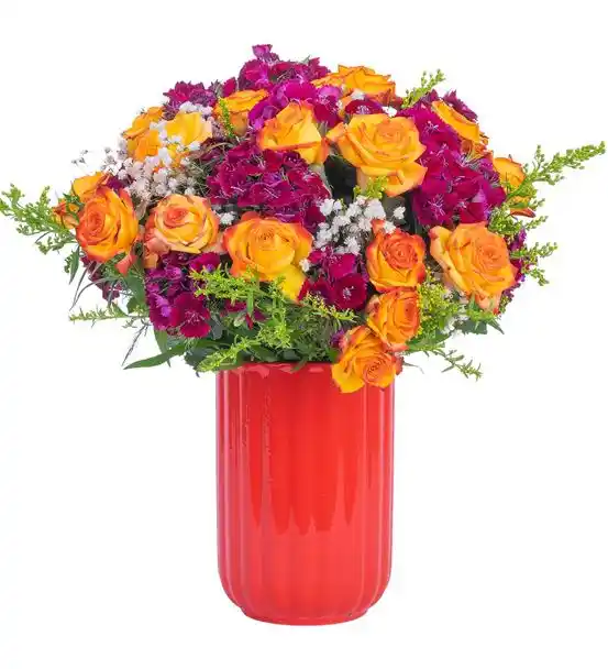 Kırmızı Saksıda Nar Çiçeği Etkisi Renkli Çiçekler