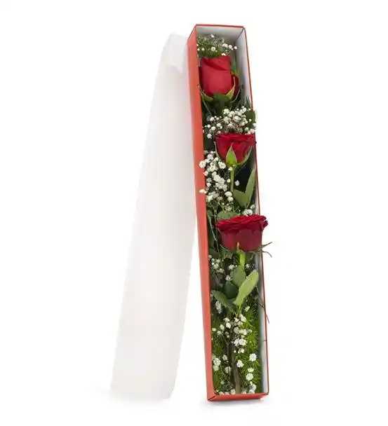 Kutuda 3 Kırmızı Gül