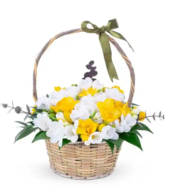 Bahar Enerjisi Mis Kokulu Frezyalar Çiçek Sepeti